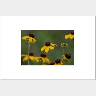 Yellow Wildflower Dancers Posters and Art